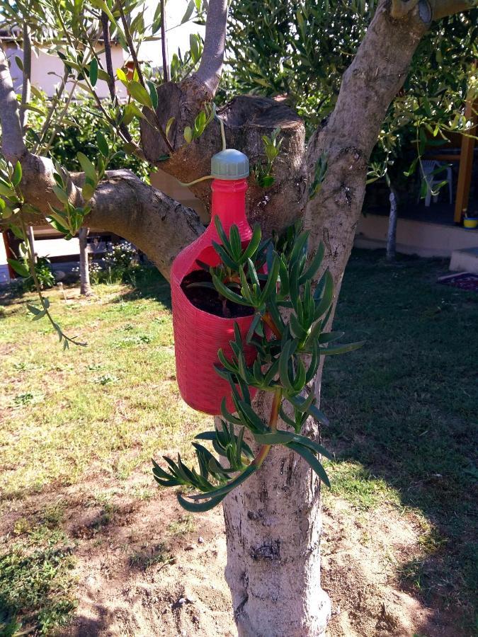 サルティFarma Giannisアパートメント エクステリア 写真